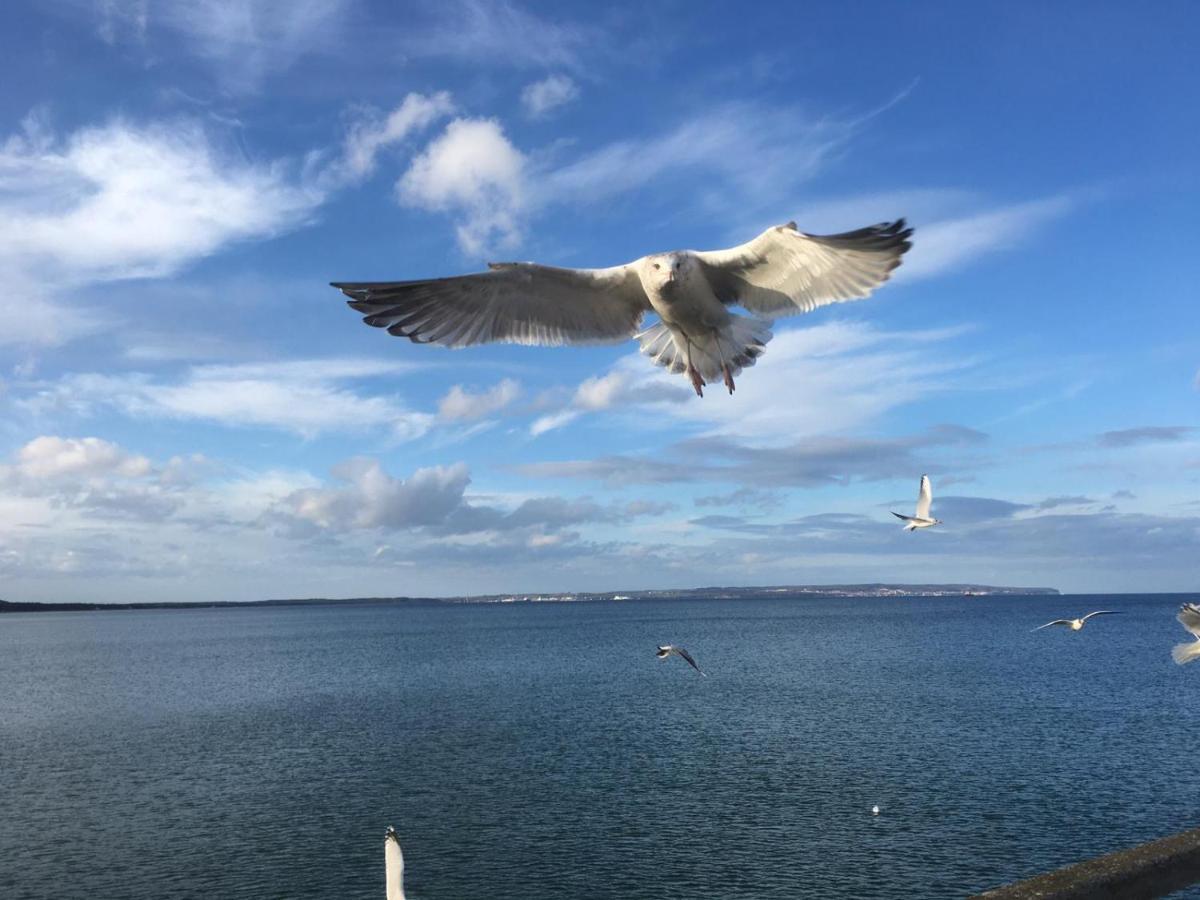 Fewo Im Seepark Sellin  Exteriér fotografie